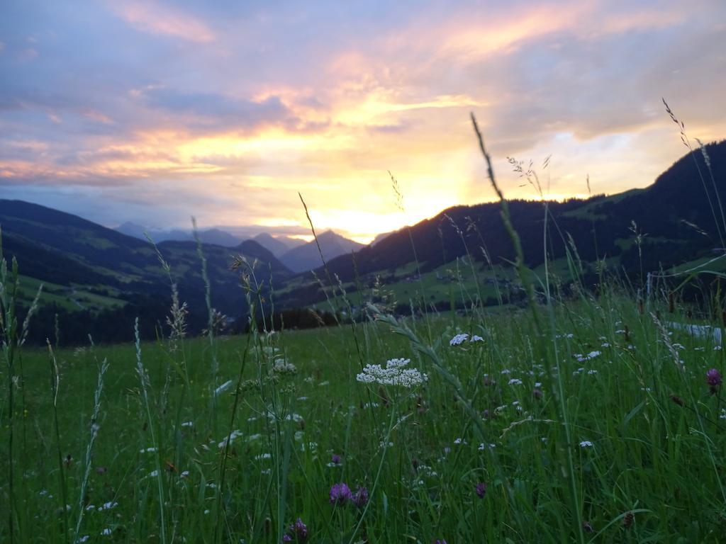 Anna'S Appartement Alpbach Exteriér fotografie