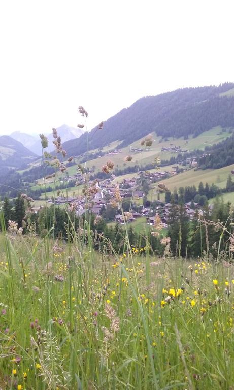 Anna'S Appartement Alpbach Exteriér fotografie